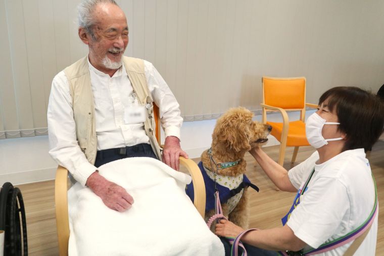 癒し癒されワンちゃん大集合
